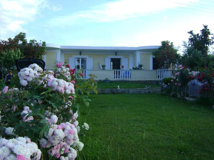 Zante Summer Retreats - Marietta'S Apartment2 Drosia Kypseli Екстер'єр фото